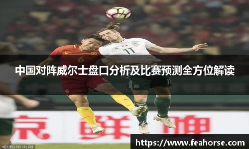 中国对阵威尔士盘口分析及比赛预测全方位解读